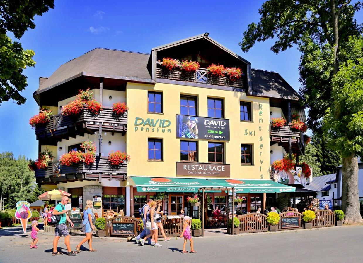 David Wellness Hotel Harrachov Kültér fotó